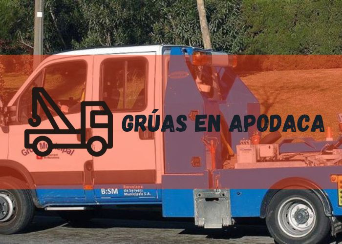 grúa remolcando un auto en Apodaca