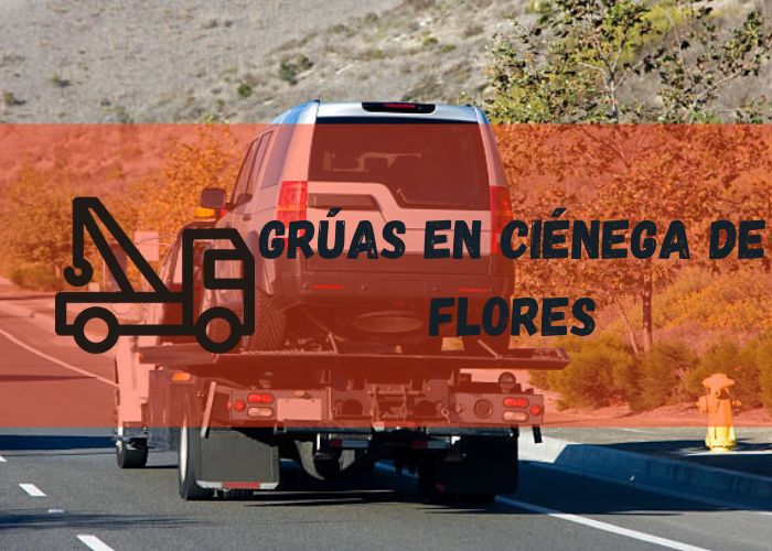 servicio de grúa en Ciénega de Flores