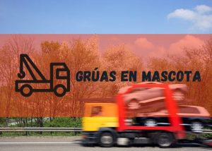 Servicio de grúas en Mascota