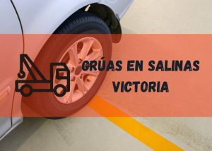 Servicio de grúas en Salinas Victoria