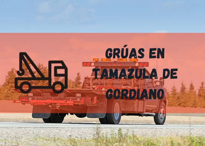 grúa 24 horas en Tamazula de Gordiano