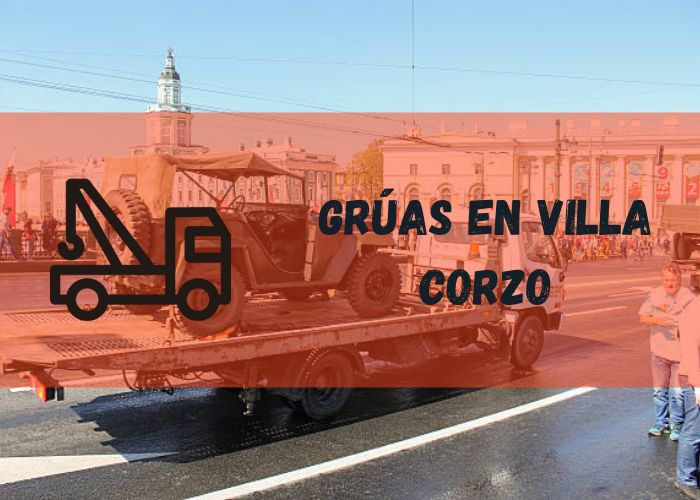 servicio de grúa en Villa Corzo